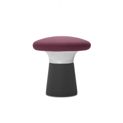 Kruk Funghi laag paars