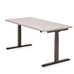 Hoog laag bureau Flex Eco+