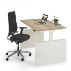 Elektrisch zit-sta bureau Flex 3+ wangpoot