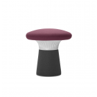 Kruk Funghi laag paars
