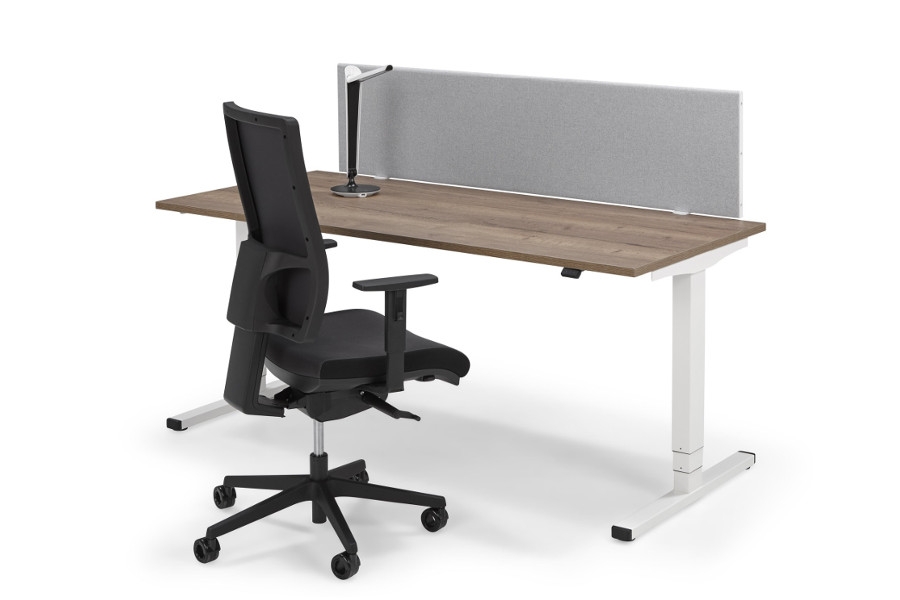 Elektrisch verstelbaar bureau Flex Eco | In hoogte verstelbare bureaus